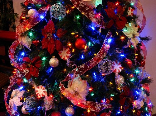 christmas, christmas lights and christmas tree