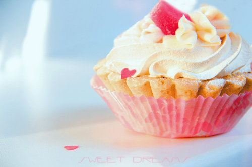 cupcake, cute and photography