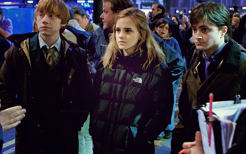 emma watson,  harry potter and  hermione granger