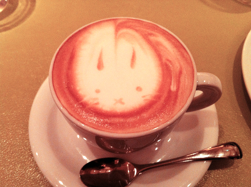 bunny, coffe and cute