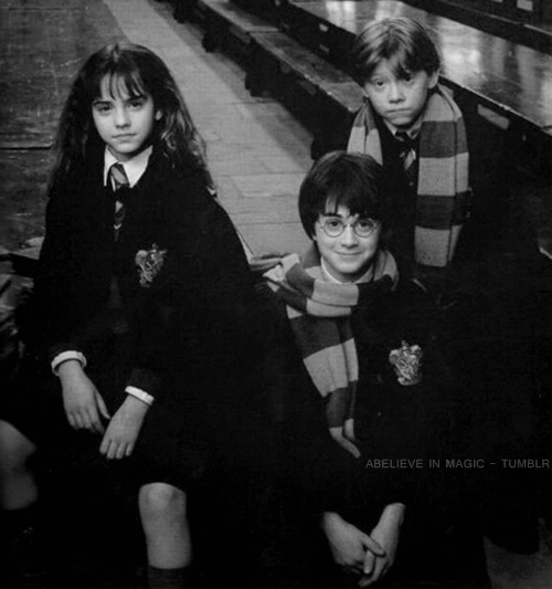 friends, harry potter and hermione granger