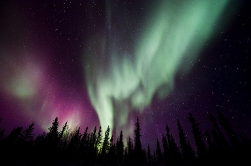 beautiful, boreal aurora and colorful