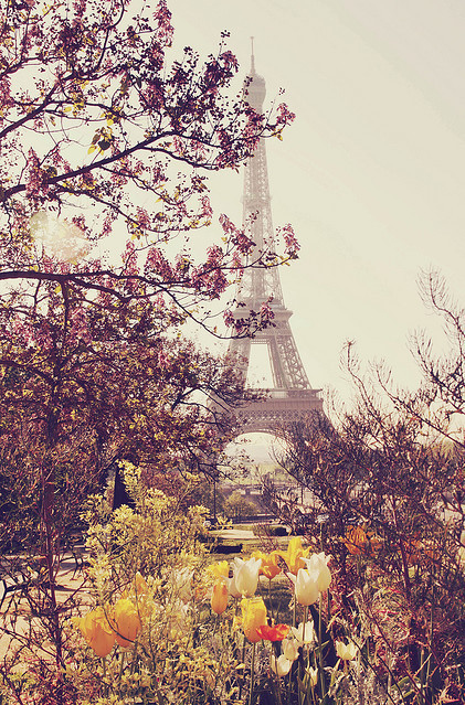eiffel tower, flowers and france
