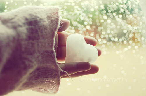 hand, heart and ice