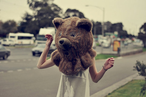 bear-cool-funny-girl-hands-Favim.com-120