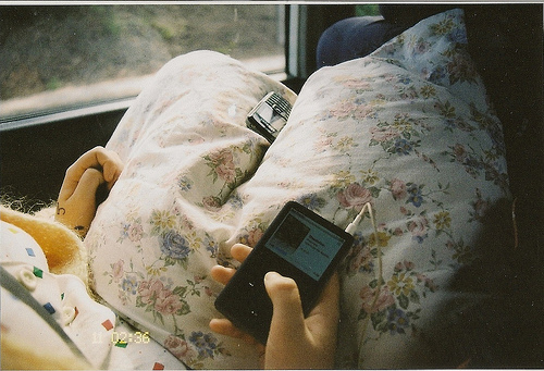 blackberry, bus and floral