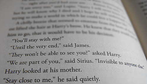 book, deathly hallows, harry potter, james potter, text