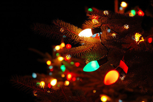 bulbs, christmas and decoration