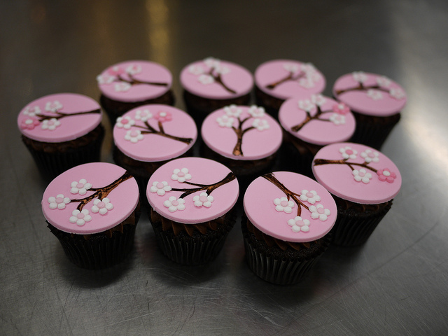 cakes, cupcakes, cute, sakura
