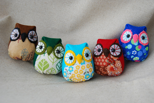 cute, nerdfromparis and owl