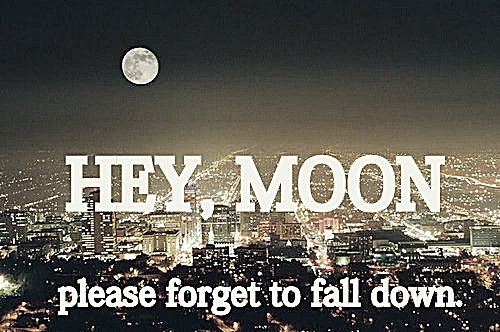 city, moon and panic at the disco