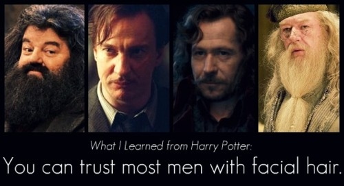 all,  dumbledore and  facial hair