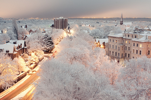 beautiful, landscape and snow