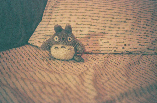 bear, bed and cute