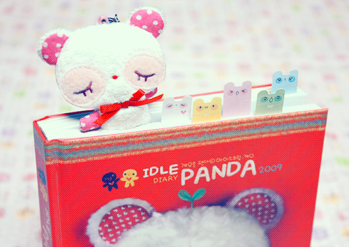 cute, diary and panda