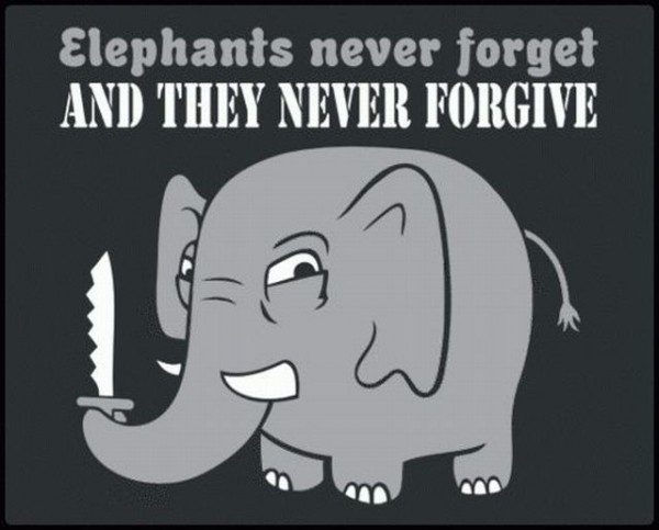 elephants, forget and forgive