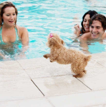 ashley tisdale, cute and dog
