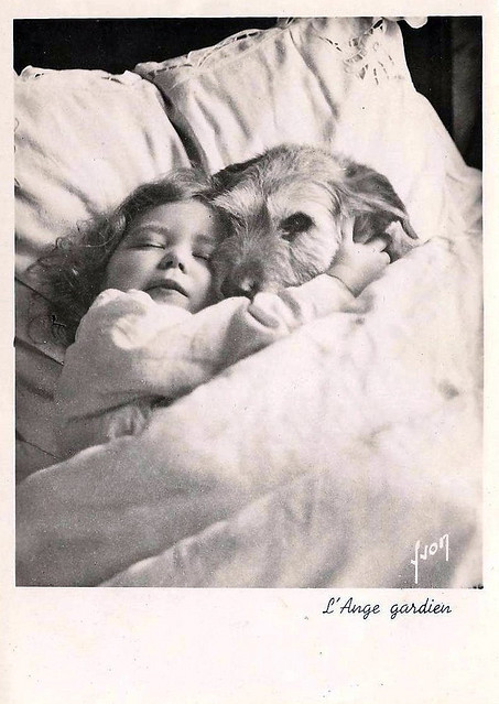 bed, child and dog