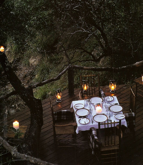 dining, dinner party, home, lovely, nature