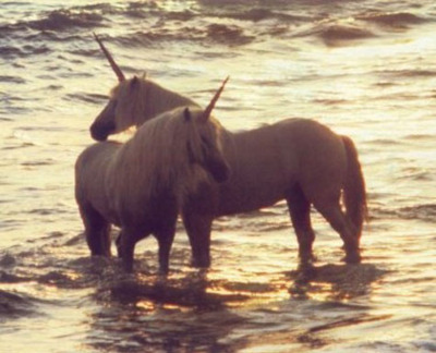 horses, sea and unicorns