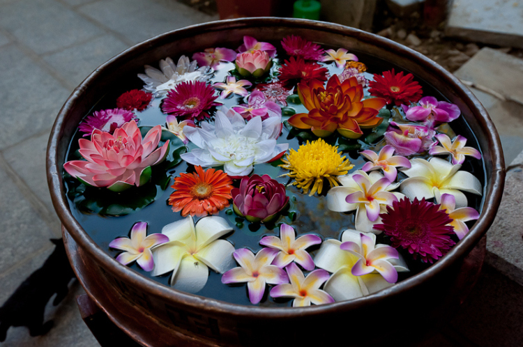 beautiful, flowers and tibet