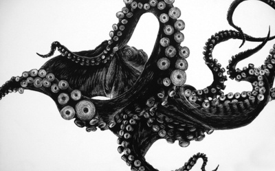 black and white,  love and  octopus