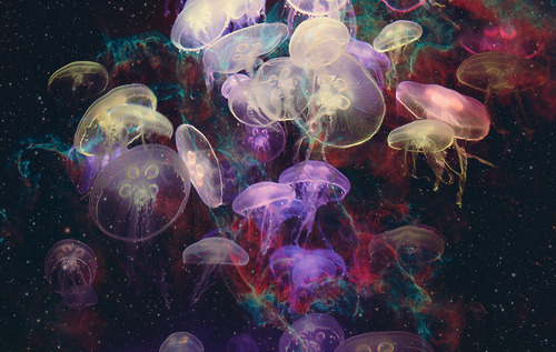 awesome,  colors and  jellyfish