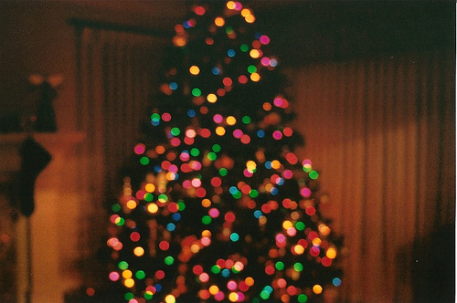 boke, christmas and christmas tree