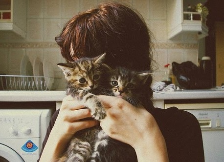 cats, cute and girl
