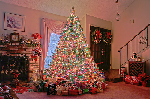 christmas, christmas tree and gift