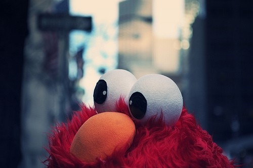 cute, elmo, photography, red