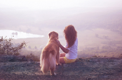 dog,  girl and  labrador