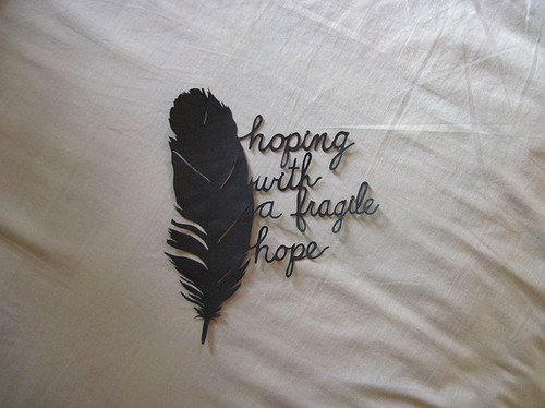 feather, hope and photography