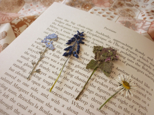 book, cute and flowers