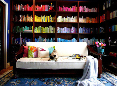 books,  bookshelf and  colorful