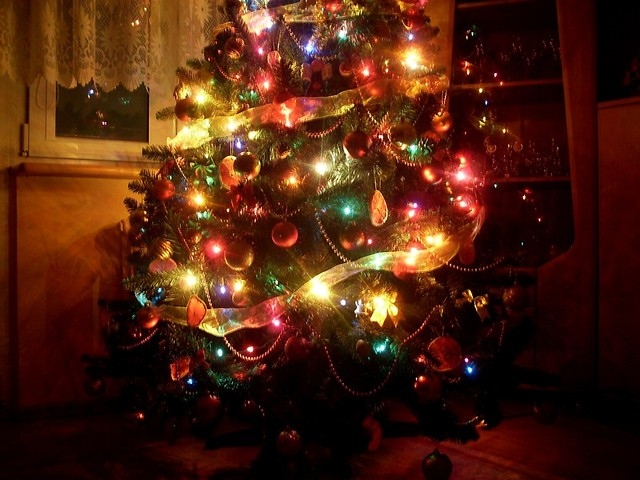 christmas, lights and tree