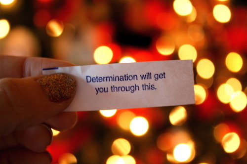 determination, fortune cookie and glitter