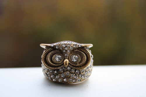 fashion, gold and owl