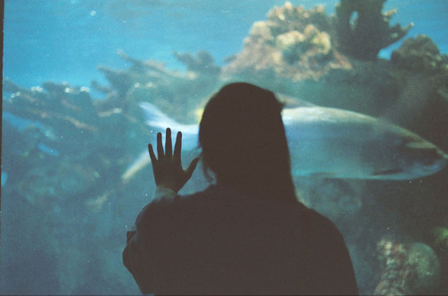 fish, girl and hand