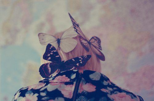 blonde, butterflies and butterfly