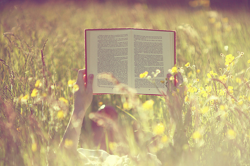 book, enjoy and flowers