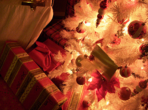 boxes, christmas and christmas tree