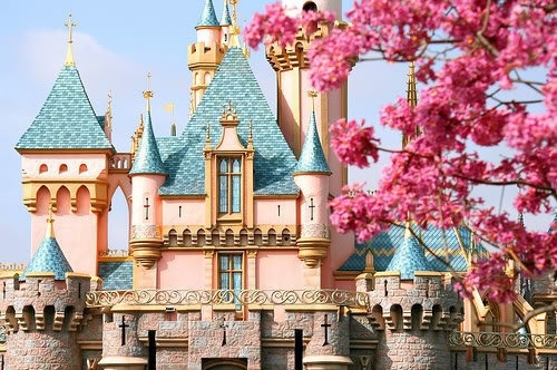 disney land, fashion and floral