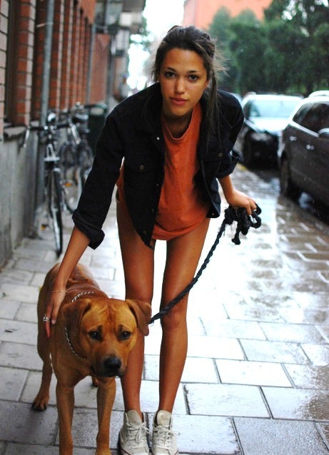 dog, girl and legs