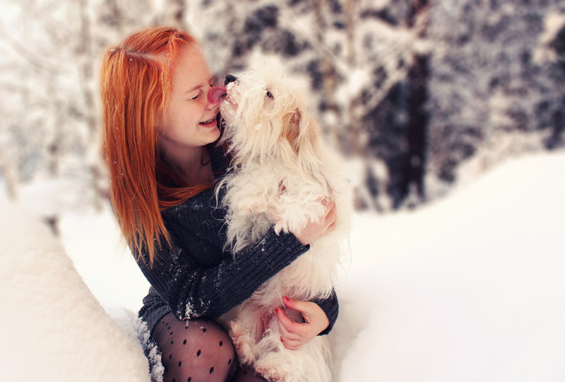 dog, girl and snow