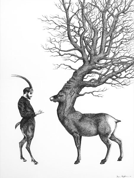 antlers, black and white and deer