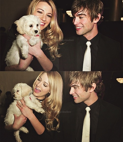 blake lively, chace crawford and dog