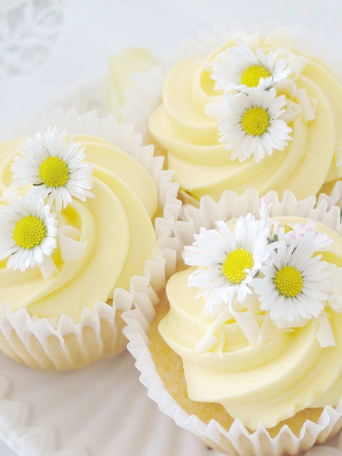 cupcake, cupcakes, daisy, flower, food
