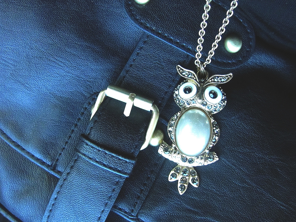 fashion, necklace and owl