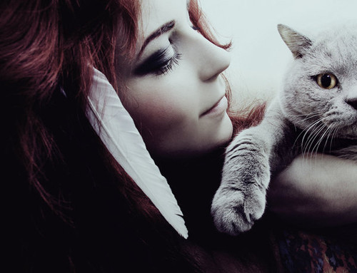 beautiful, cat and girl